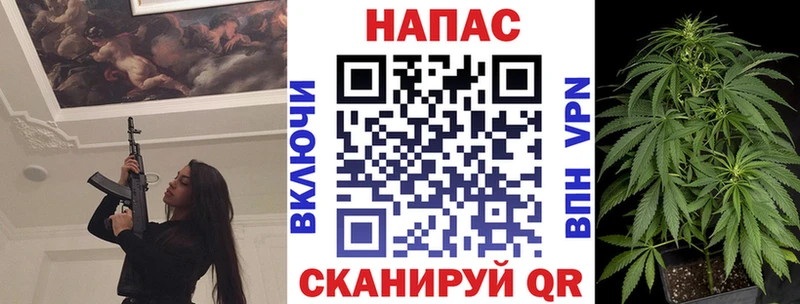 Канабис планчик  Кочубеевское 